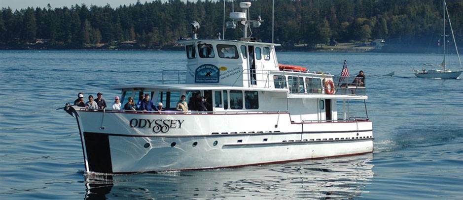Image result for san juan excursions