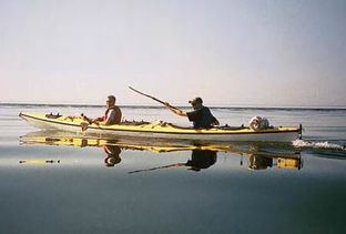 San Juan Excursions - San Juan Islands Whale Watching - Whale Watching
