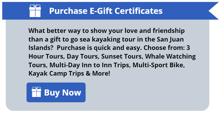 Purchase E-Gift certificates